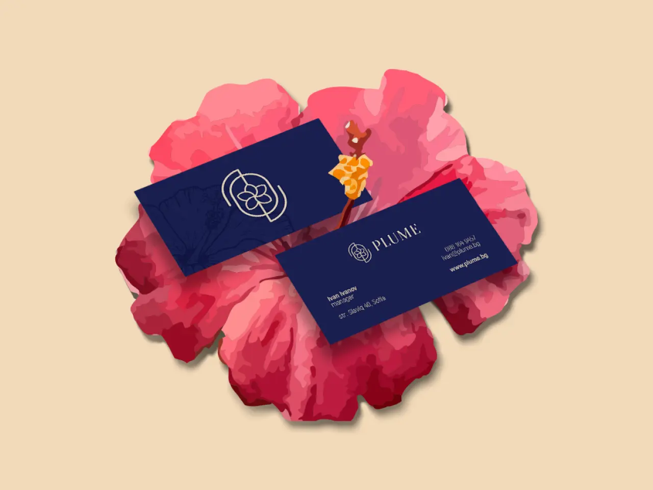 Navy Plume business cards, front and back, lying on an illustrated pink hibiscus flower.